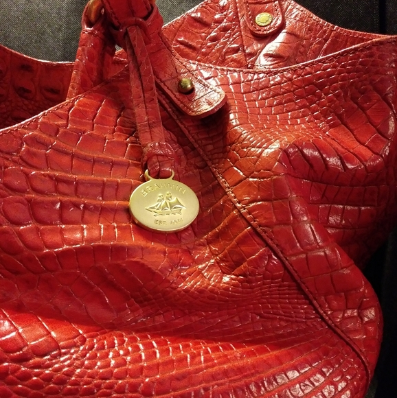 Brahmin - Picture 3 of 3